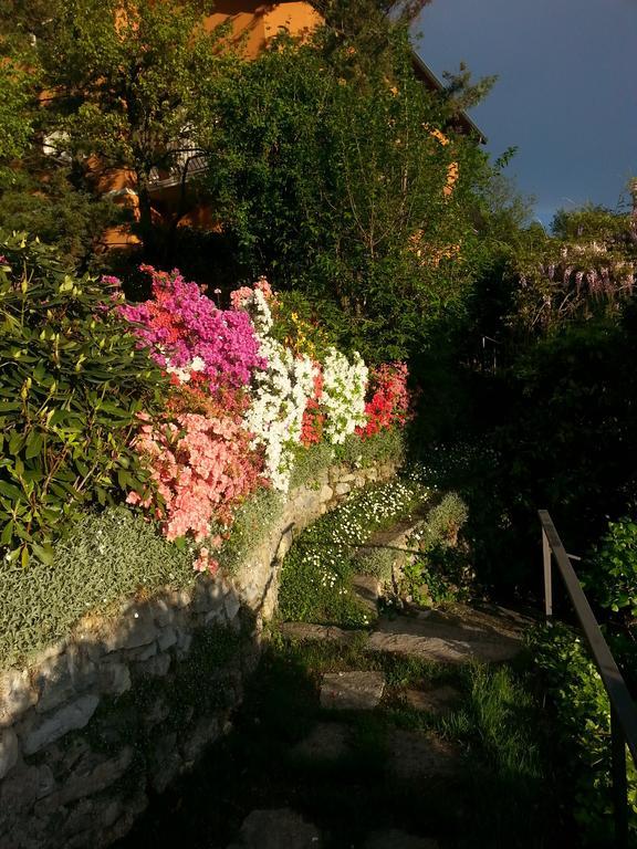 Casa Vacanze Le Violette Villa Brunate Eksteriør bilde