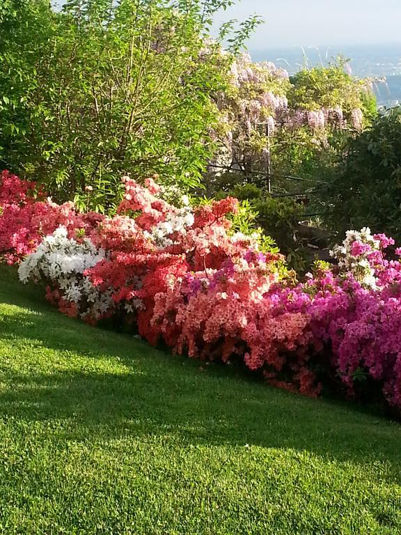 Casa Vacanze Le Violette Villa Brunate Eksteriør bilde