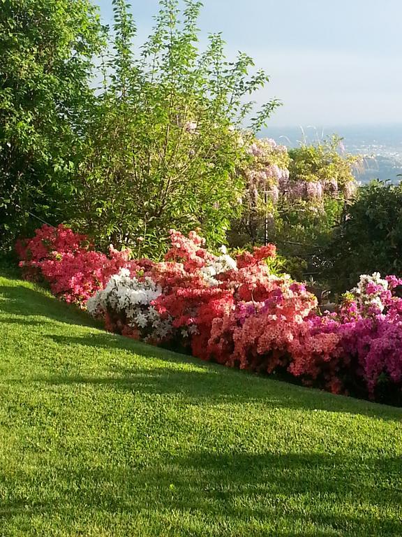 Casa Vacanze Le Violette Villa Brunate Eksteriør bilde