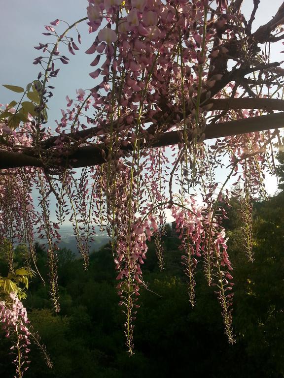 Casa Vacanze Le Violette Villa Brunate Eksteriør bilde